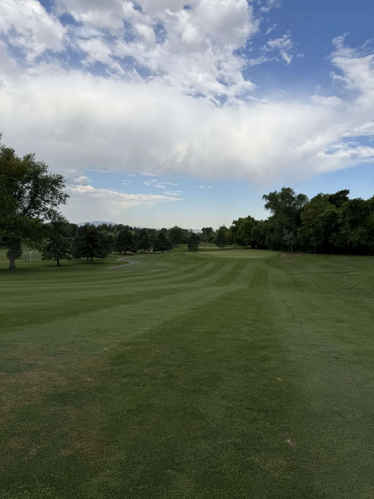 Golf June 2026