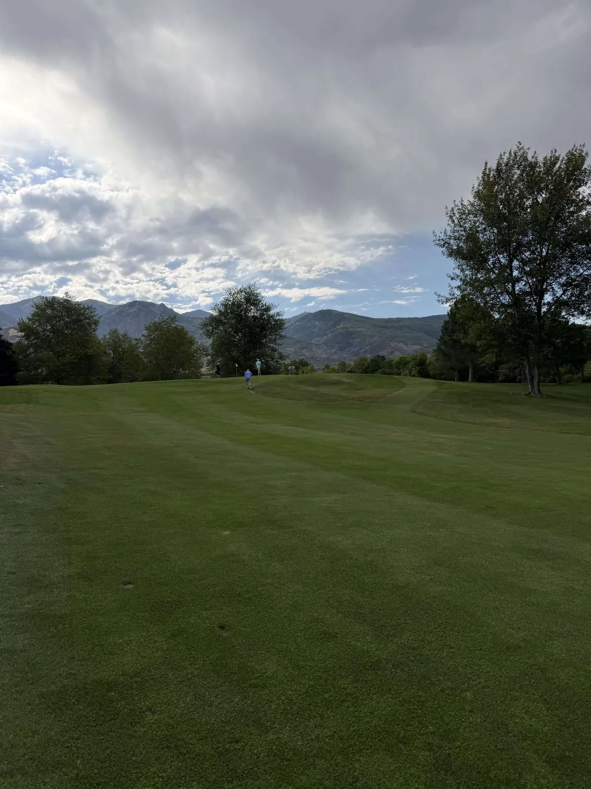 Golf June 2026