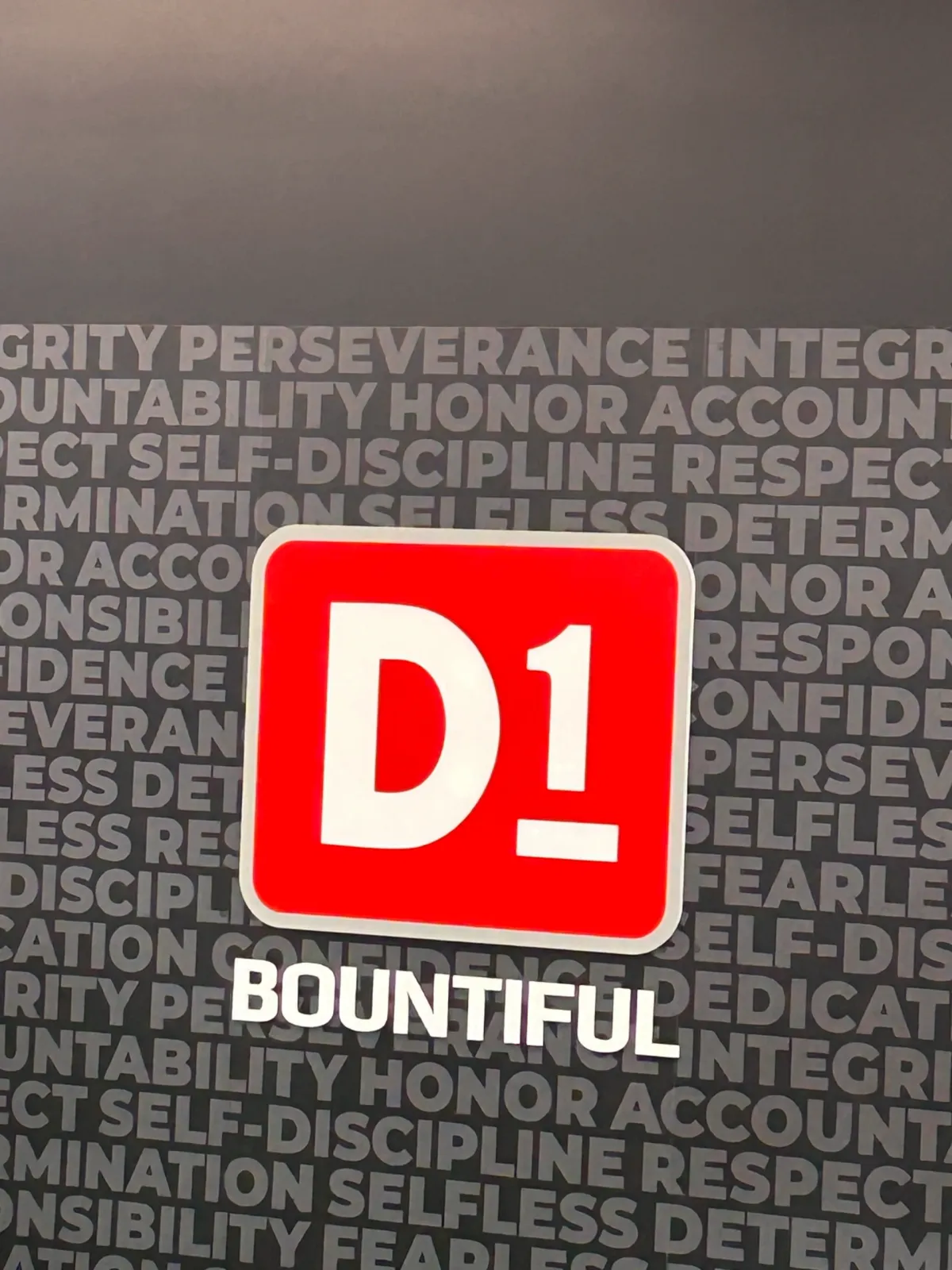 D1 Training